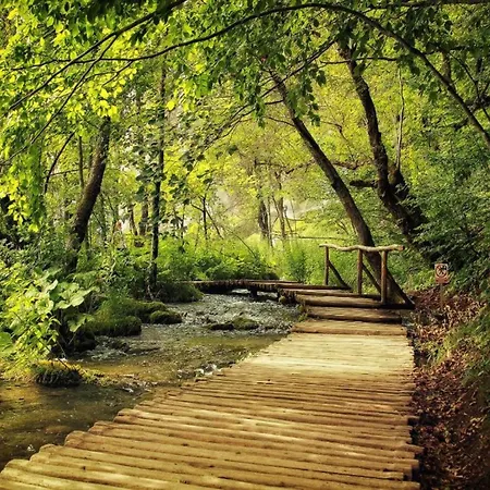 On Pa Man Near Lucina *