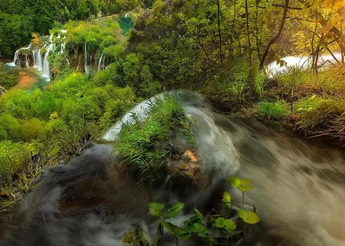 On Pa Man Near Lucina Apartment Pasman